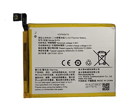 Full Capacity Proper 4000 mAh Compatible Mobile Battery for Vivo Y95 B-F9 image 0