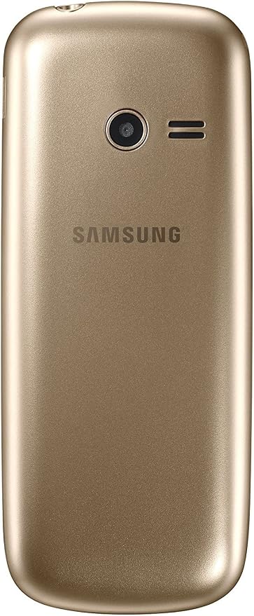 Samsung Metro 313 Dual SIM Feature Phone