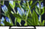 Sony Bravia R202G 80cm (32 inch) HD Ready LED TV (KLV-32R202G) image 0